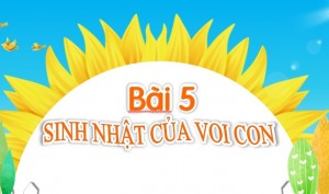 /assets/news/2021_03/sinh-nhat-cua-voi-con.jpg