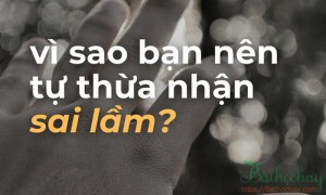 Thừa nhận sai lầm của bản thân là thượng sách