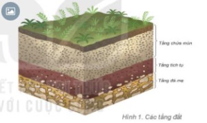 Giải Địa lí lớp 6 sách Kết nối, bài 22: Lớp đất trên Trái Đất