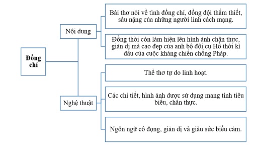 so do tu duy bai dong chi