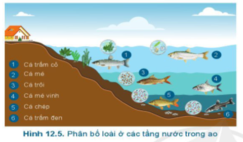 Đề thi học kì 2 môn Công nghệ 7, sách Cánh diều năm 2023 - 2024